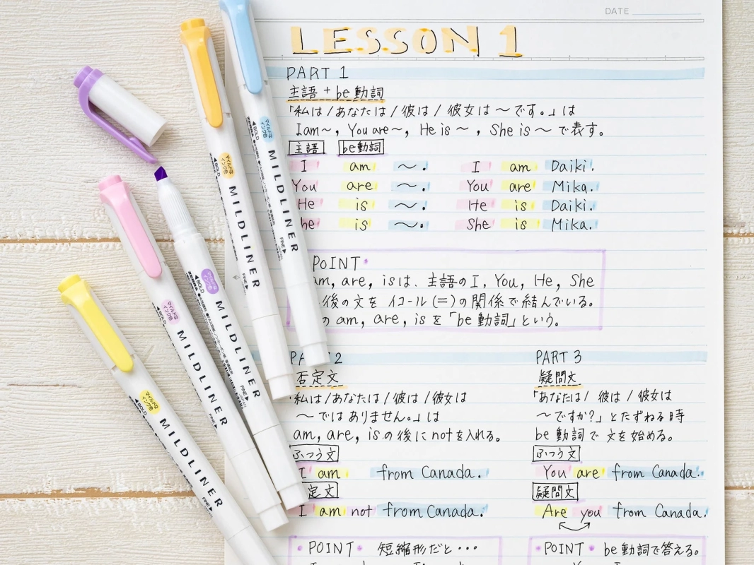 ZEBRA Mildliner Highlighters