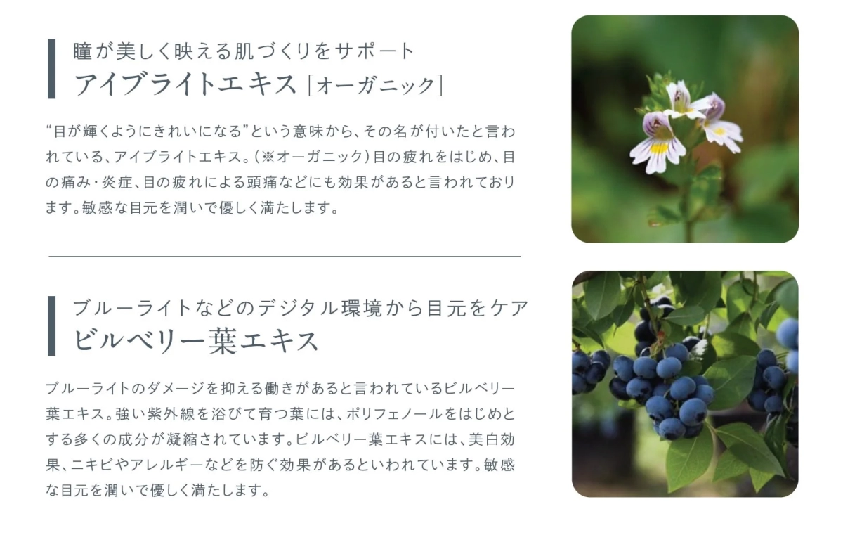 Eyebright and Bilberry Leaf Extract benefits