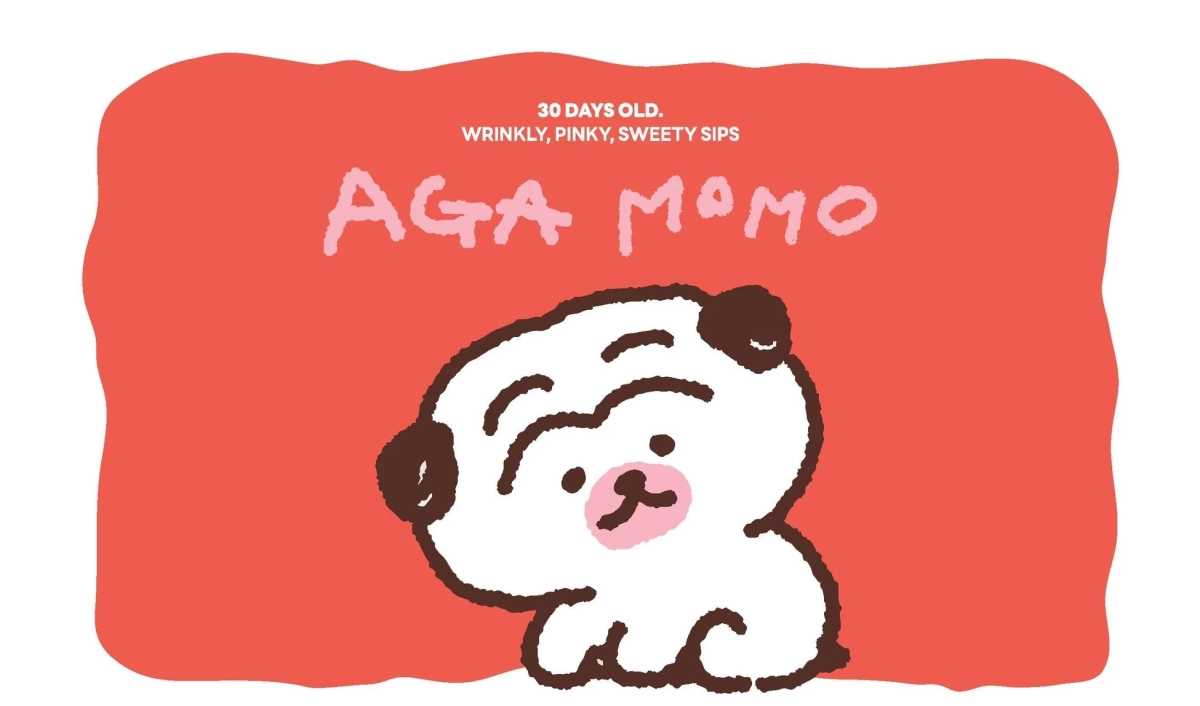 Aga Momo