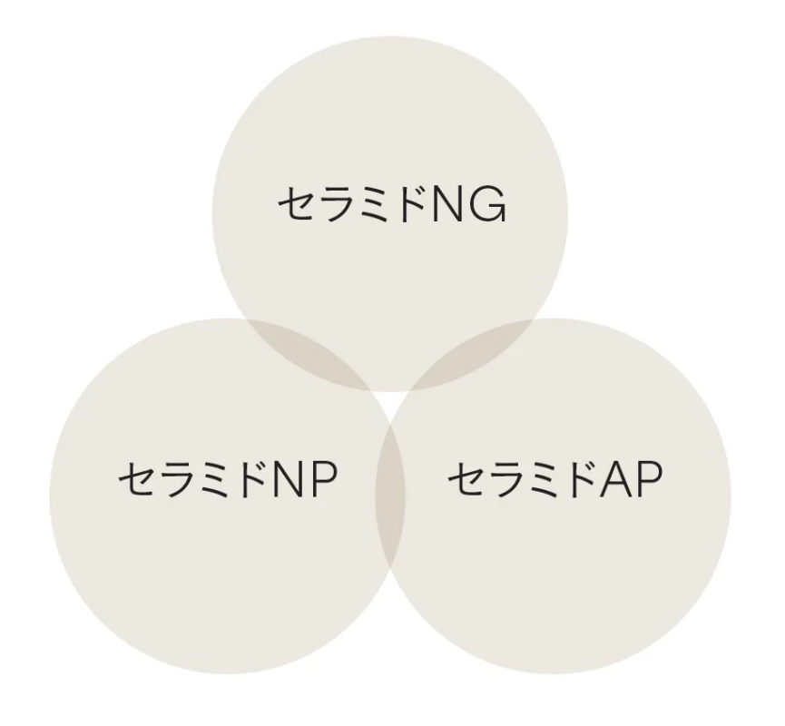 セラミドコンプレックス成分
