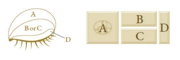 Eye Color Application