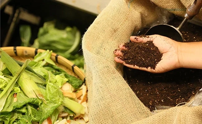 Compost