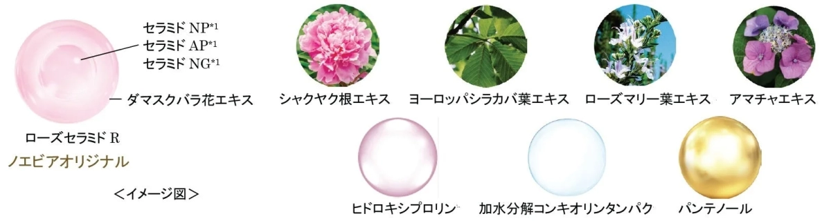 Rose Ceramide R
