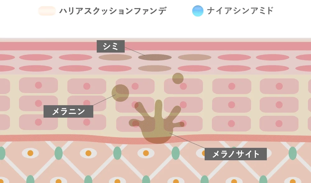 Illustration of Skin Structure with Spots, Melanin, and Niacinamide