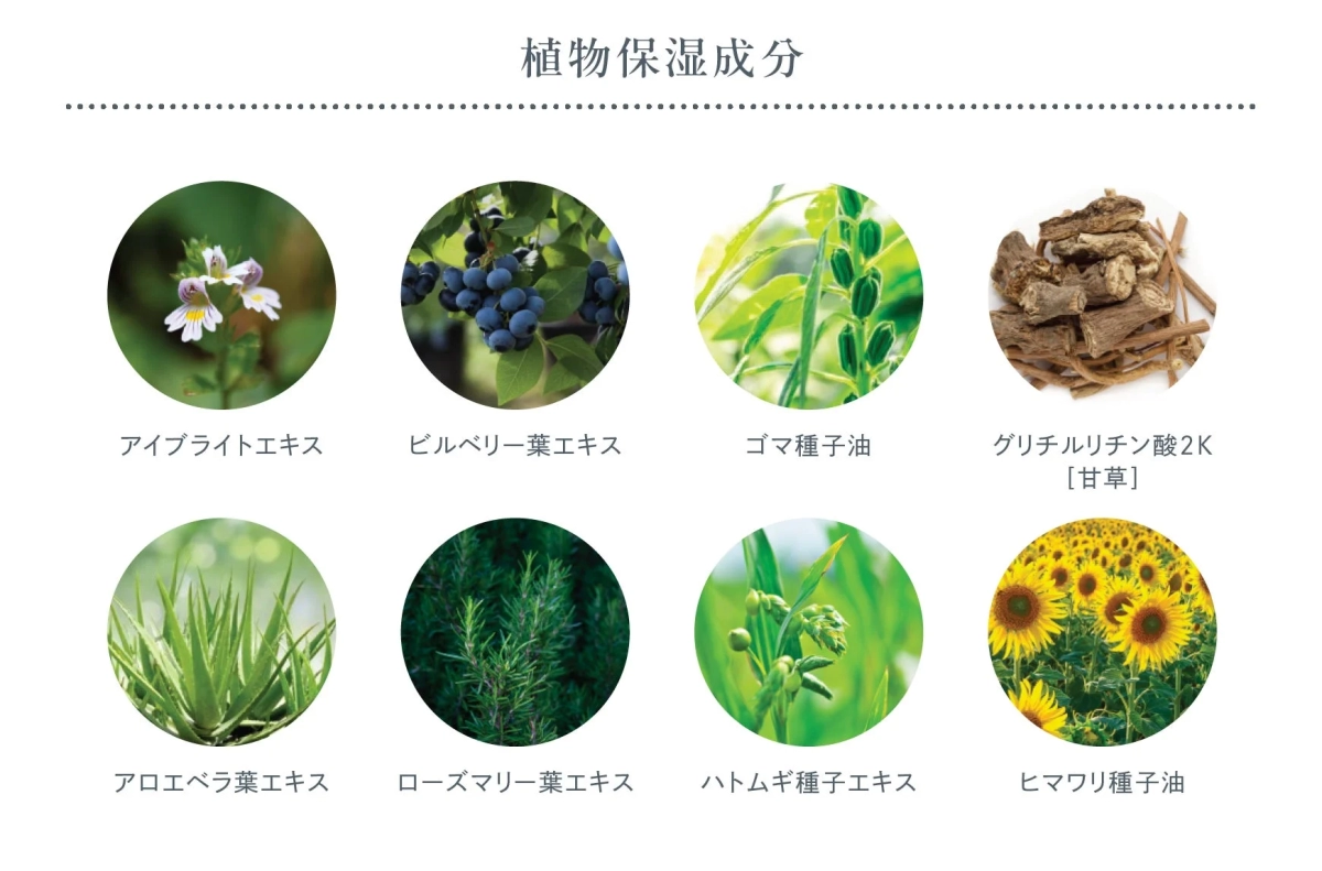 Plant moisturizing ingredients list