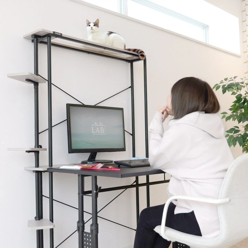 Woman at desk with cat on a shelf above
