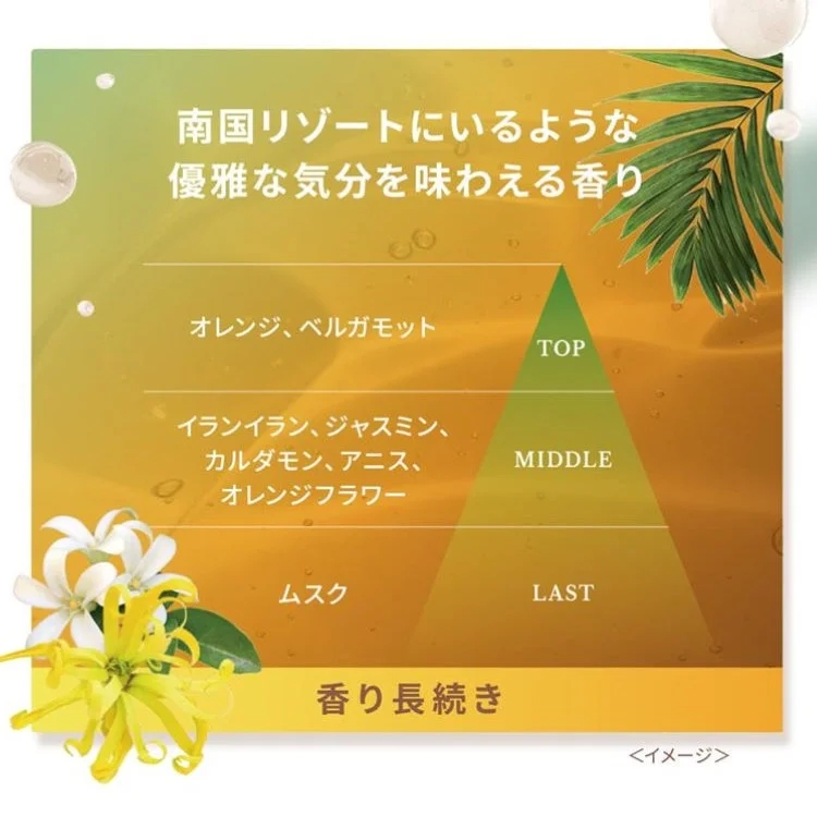 Fragrance notes diagram