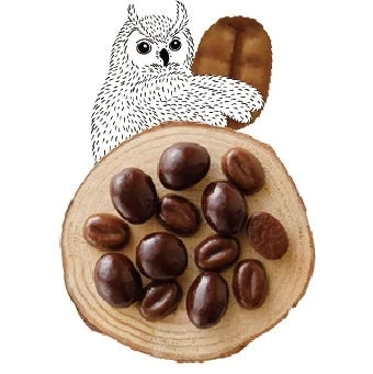 Owl with Coffee Beans