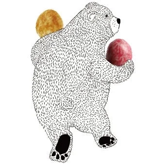 Bear with Round Objects