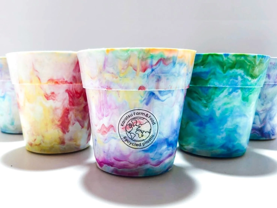 A display of colorful recycled plastic cups, some with labels