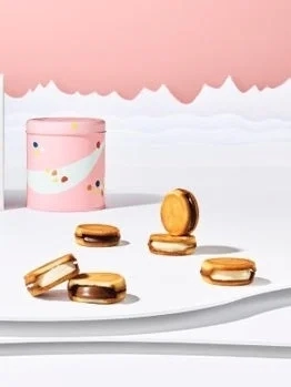 SNOWS Snow Sand VD Can