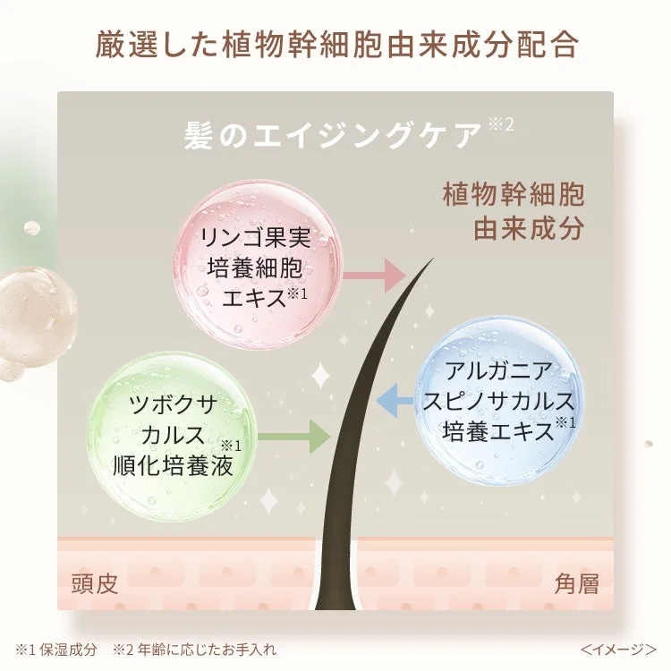 Plant stem cell ingredients diagram