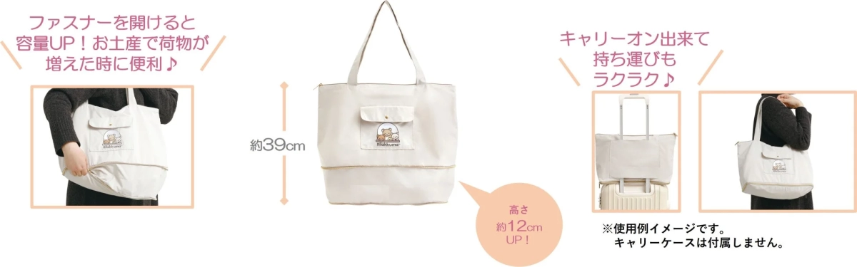 Expandable Carry-on Bag (Functionality)