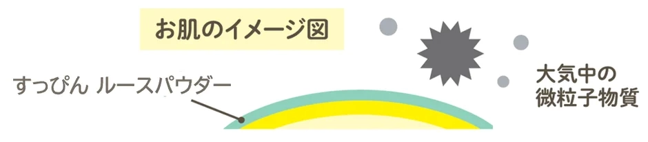 Skin protectionイメージ図