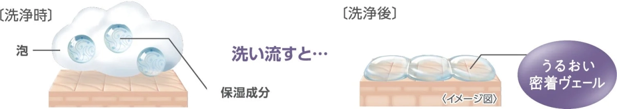 Moisture-sealing veil formula diagram