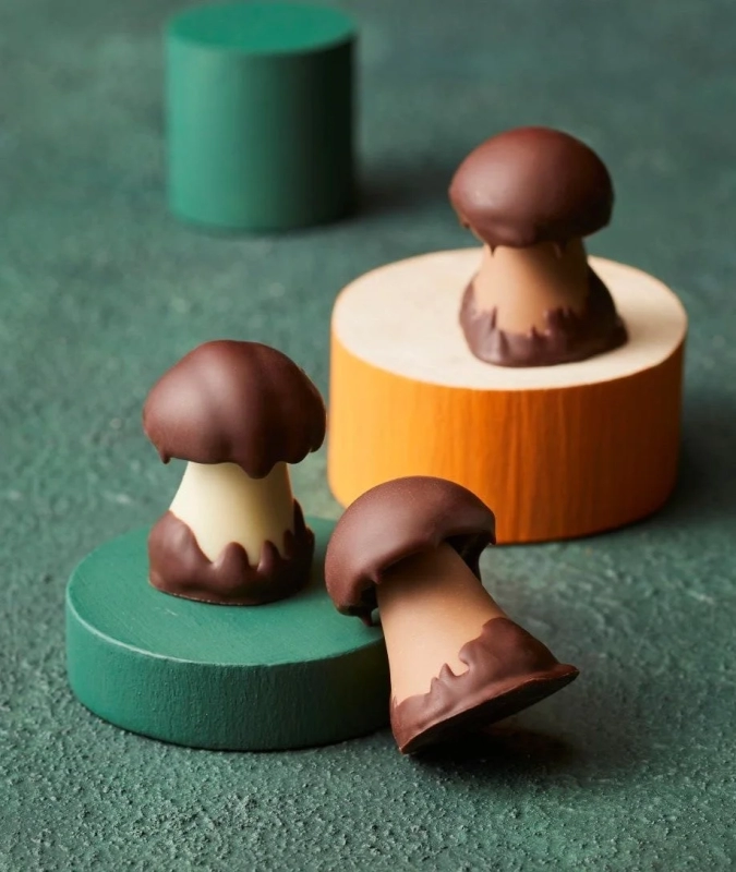 Cruizel Mushroom Chocolates