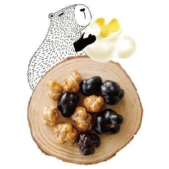 Capybara with Snacks