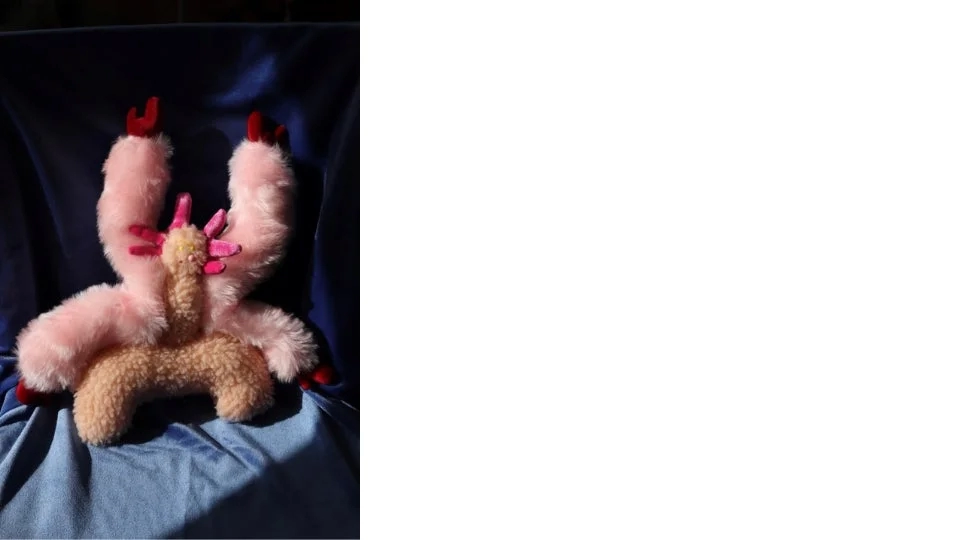 Chill-out, Fluffy Weird buddies!