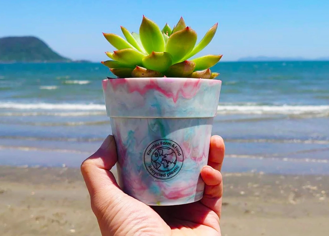 A hand holding a recycled plastic flowerpot with a succulent, with the ocean in the background