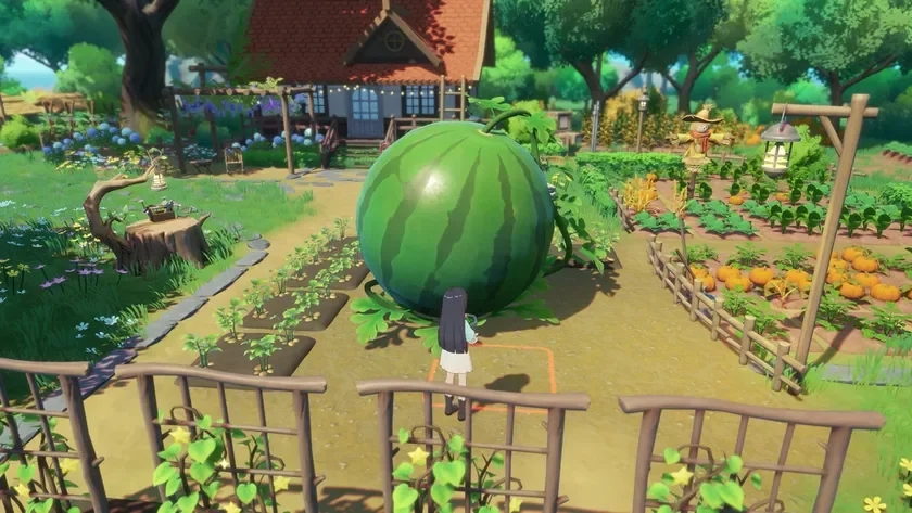Character in a giant watermelon field