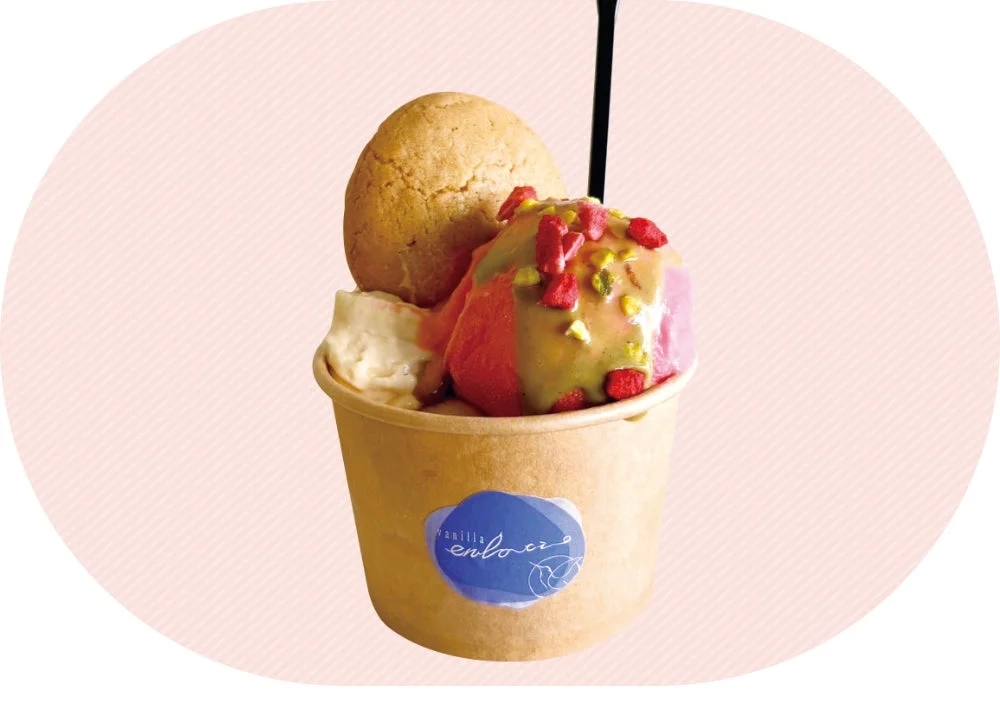 vanilla enlacio Gelato