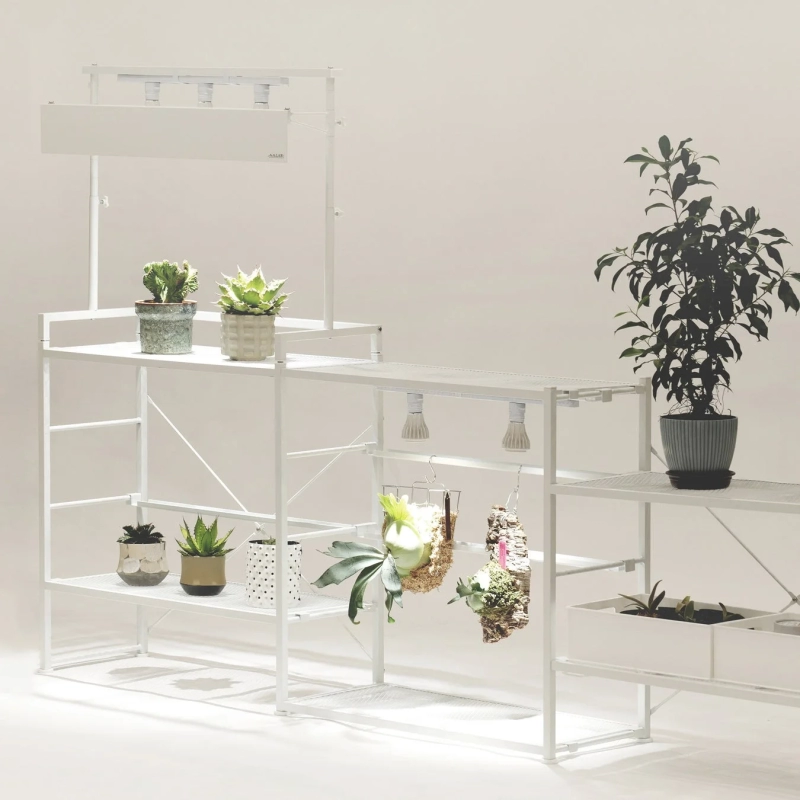 Plant shelf with various plants