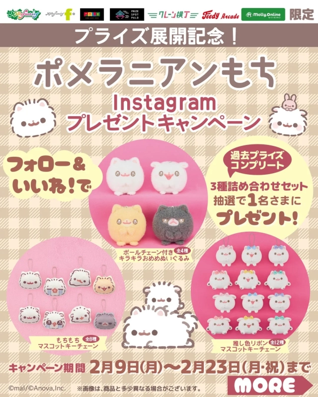 Pomeranian Mochi SNS Campaign Banner