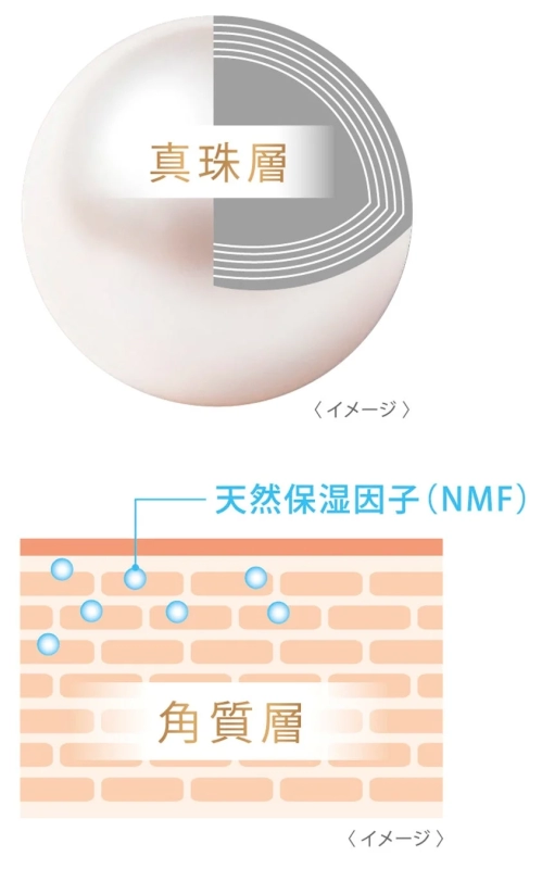 Pearl Layer and Stratum Corneum Diagram