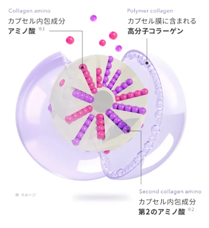 Collagen Capsule Diagram