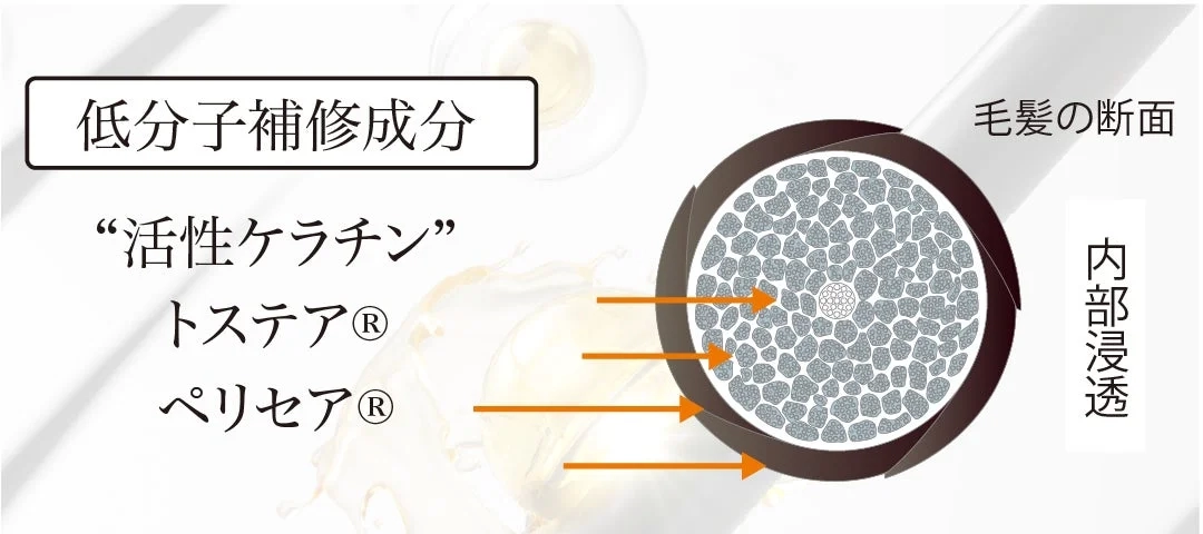 Low molecular repair components diagram