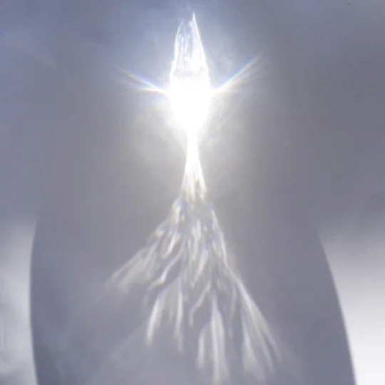 Takako Noel Profile Image