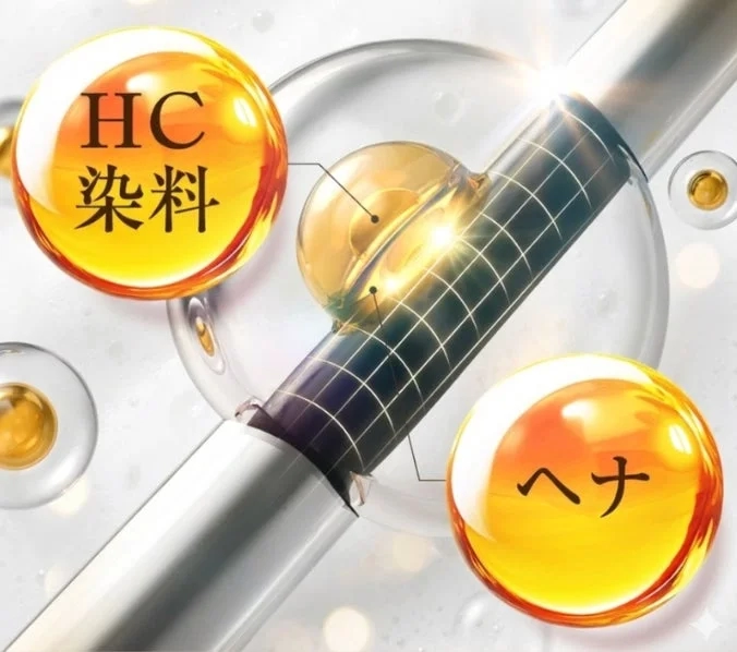 Illustration of HC dyes and Henna penetrating hair