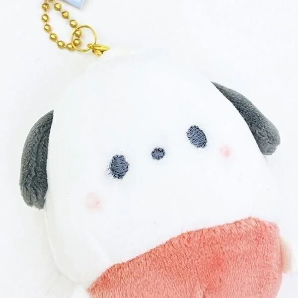 Pochacco close up