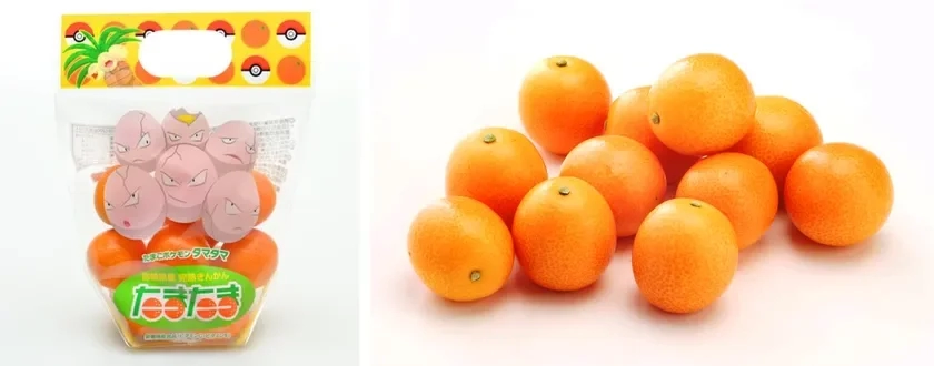 Kanji Jukukan Tamatama Nassy Ver.