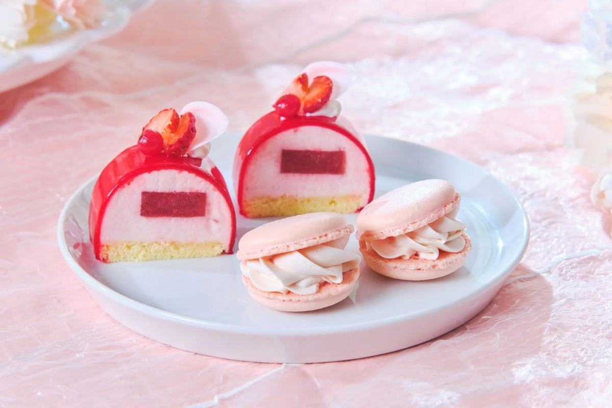 Dome Cake and Macaron