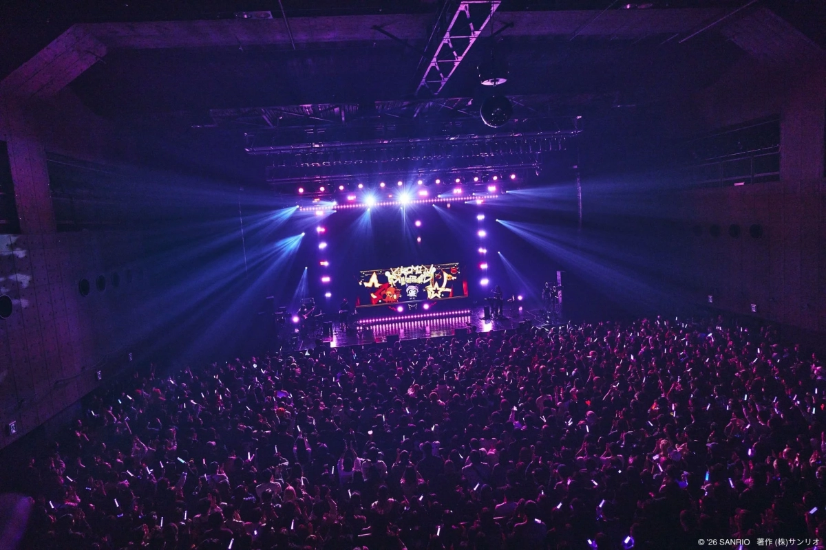 Audience with Penlights