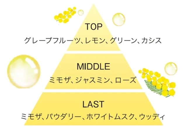 Fragrance Notes of Aqua Savon Mimosa