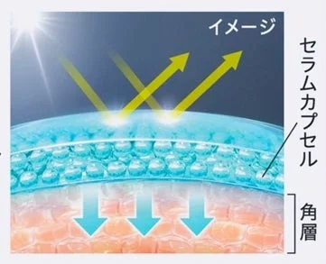 Image illustrating serum capsules protecting the stratum corneum