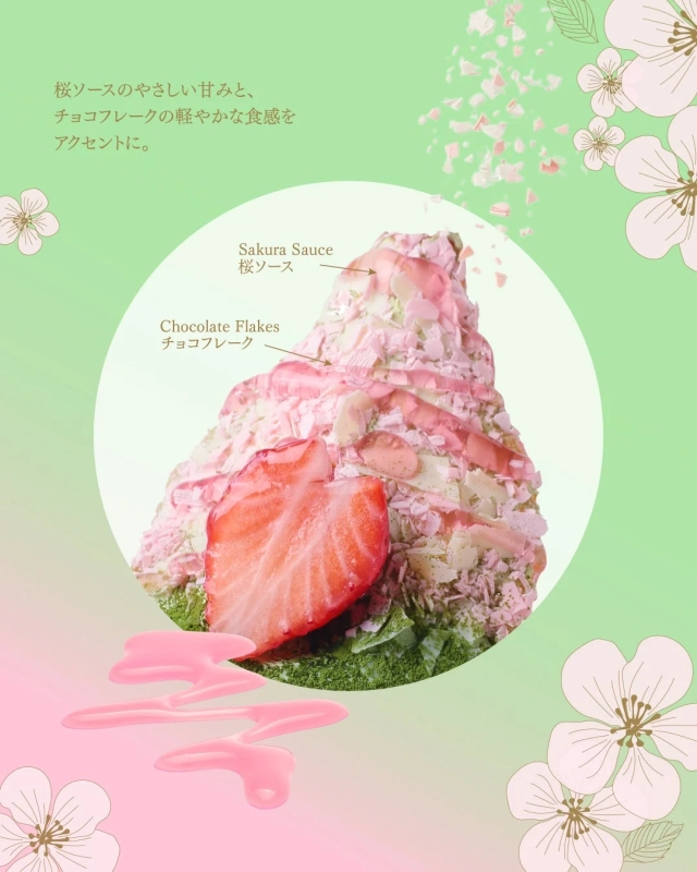 Cherry Blossom Sauce and Chocolate Flakes