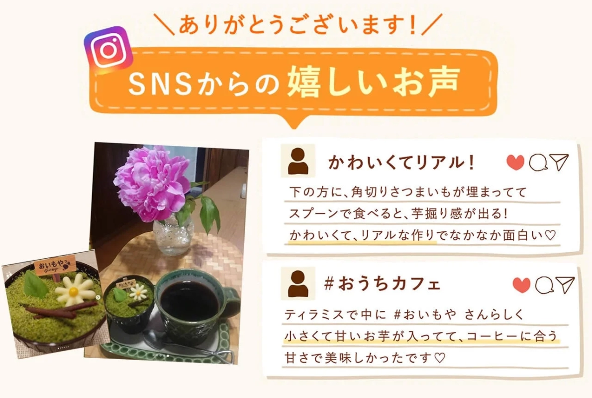 SNS Reactions to Imobori Tiramisu