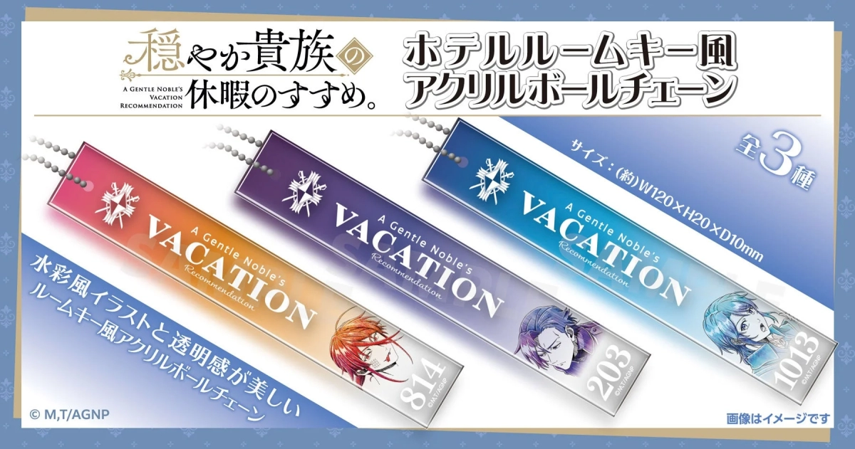 Hotel Room Key Style Acrylic Ball Chain