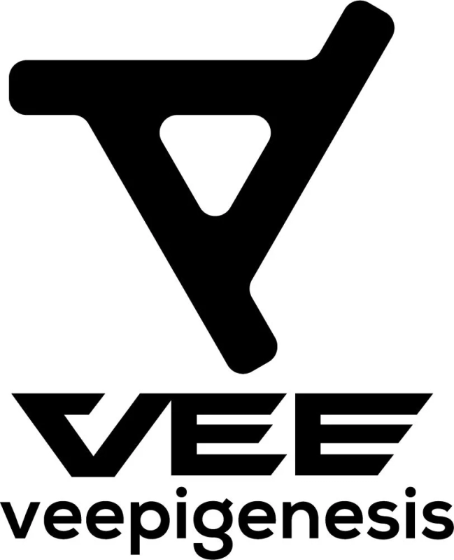 VEE Project Logo