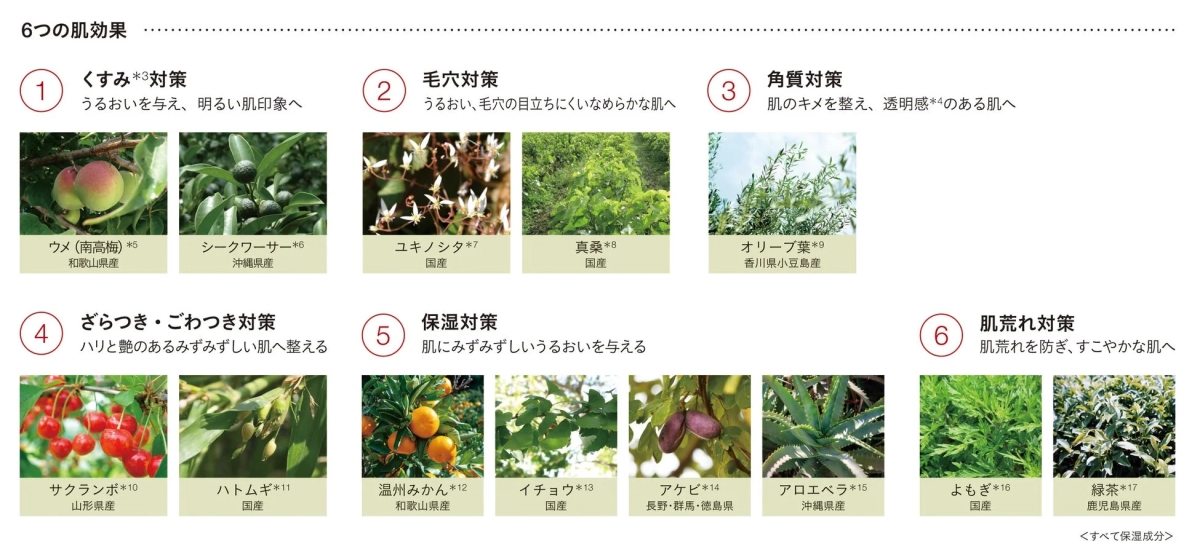 Six Skin Benefits with Botanical Ingredients