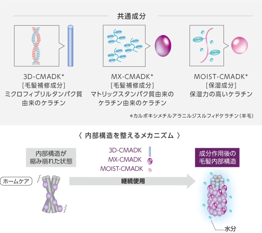 CMADK Mechanism