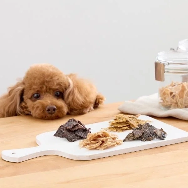 A brown toy poodle looks intently at a selection of treats on a white cutting board, showcasing the appeal of Peppy's offerings.