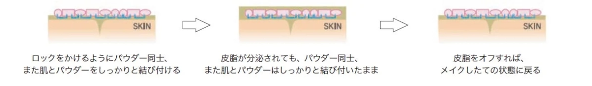 Skin adhesion mechanism