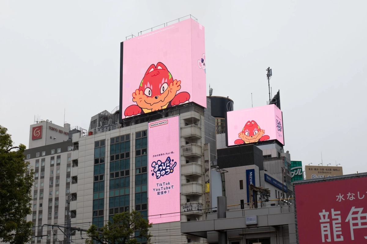 Nyammco on Shibuya Synchro 7