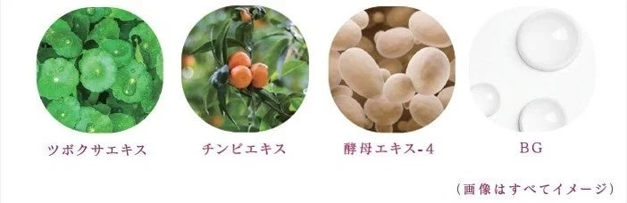 Moist MSH Guard Ingredients