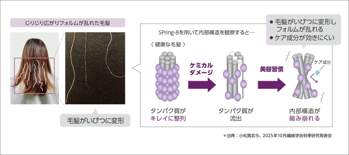 Hair Damage Mechanism