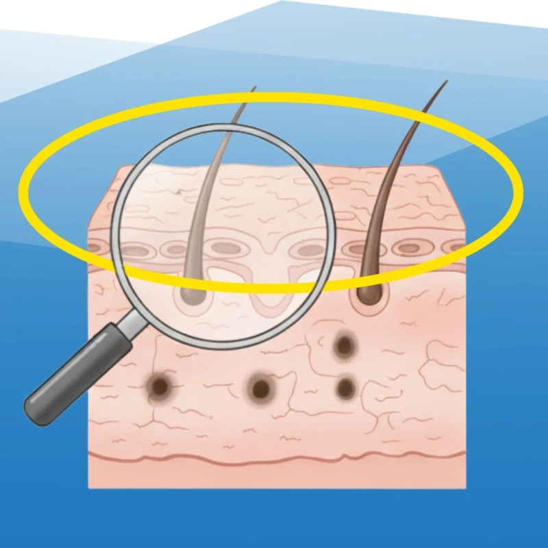 Pore & Dark Spot Care